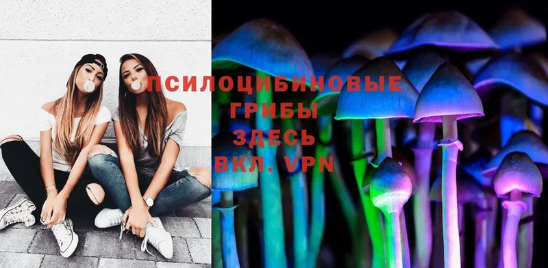 Галлюциногенные грибы Psilocybe  продажа наркотиков  Заволжск 